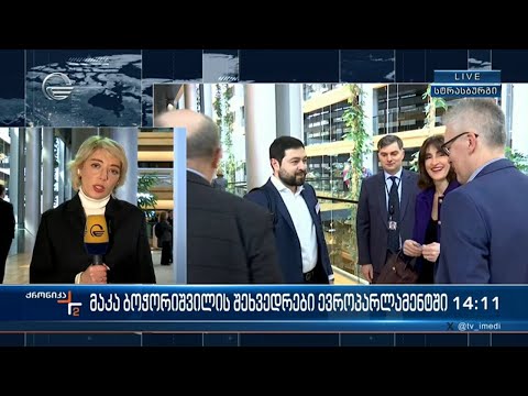 ევროკომისიის ცხრა ნაბიჯი და საქართველოს პროგრესი